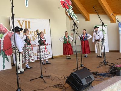 IMG_7547.jpg