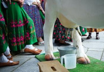 „Lato w Mizernej” i XXVIII Konkurs Potraw Regionalnych