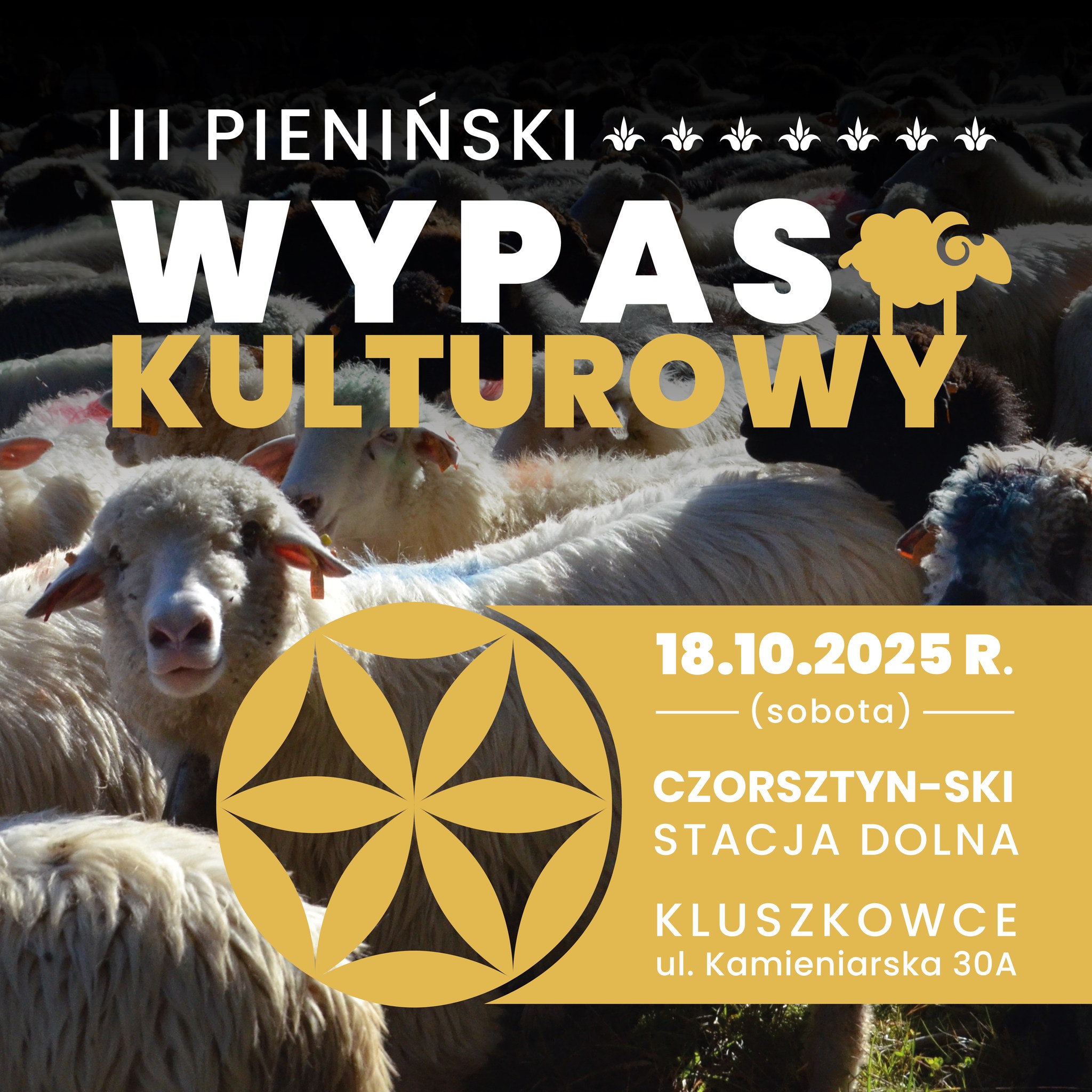 Jesienny redyk w Gmina Czorsztyn