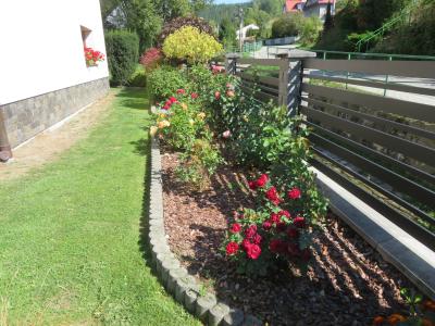 Babiak Barbaa-l (2).JPG