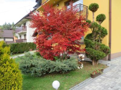 Bochenek Małgorzata-l (4).JPG