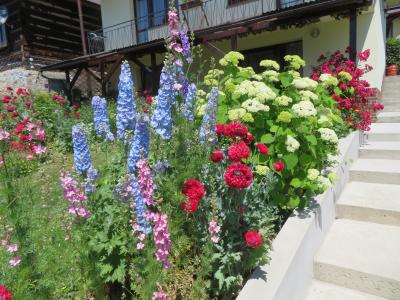 Ciężobka Monika-w (6).JPG