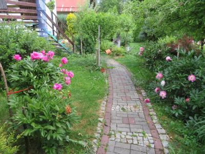 Niewiadomska Beata-w (2).JPG